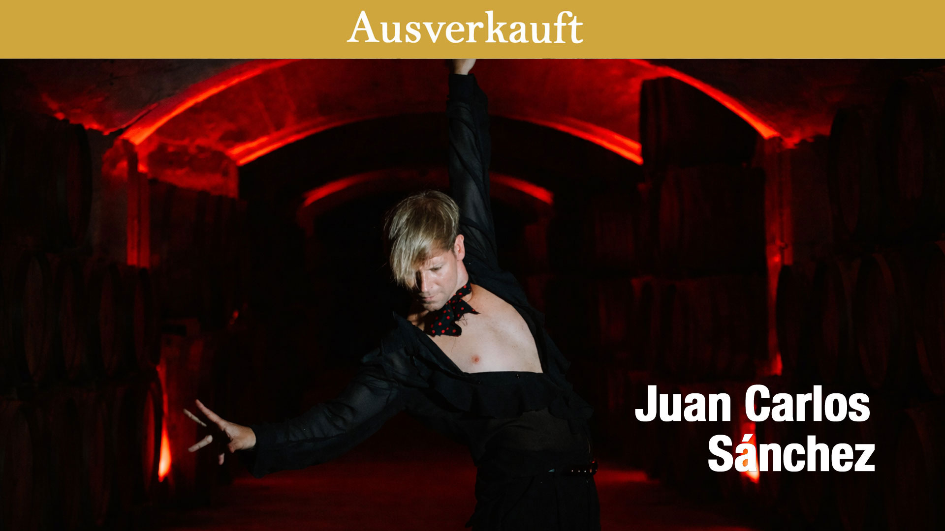 Flamenco-Nacht mit Live-Tanz